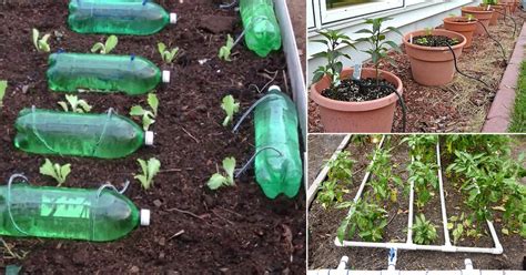 18 DIY Drip Watering Systems for the Garden | Balcony Garden Web