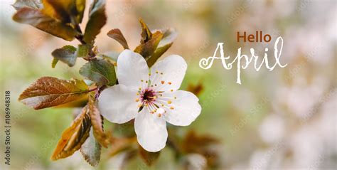 April Spring Wallpaper