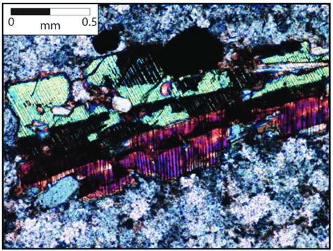 Photomicrograph (sample YD23, crossed-polarized light) of a pigeonite ...