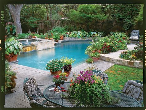 Poolside Container Garden | Pool landscaping, Backyard pool, Backyard