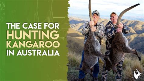 Why can't we hunt kangaroo in Australia? #HuntingAustralia - YouTube