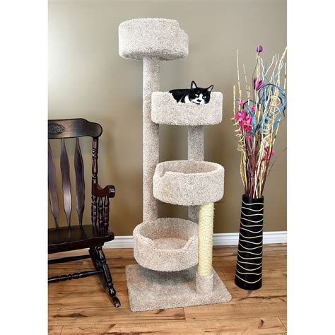 Cat Trees for Large Cats | Foter