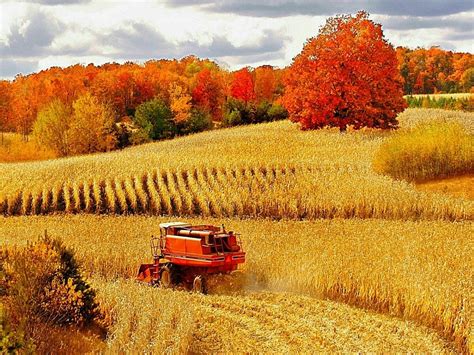 Pin by Jessica's Daycare on daycare: harvest theme | Farm life, Scenery ...