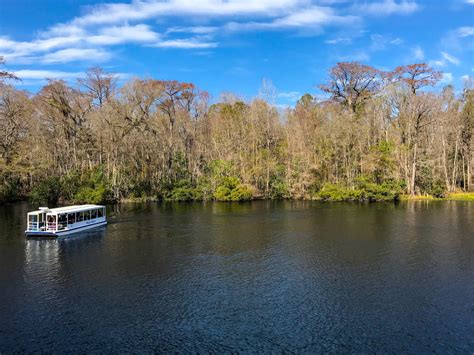 Exploring Wakulla Springs State Park and St. Marks Wildlife Refuge ...