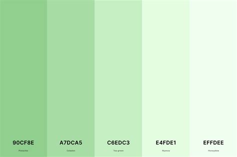 35+ Best Green Color Palettes with Names and Hex Codes – CreativeBooster