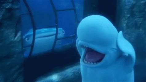 Beluga Whale Finding Dory GIF - Beluga Whale Finding Dory Whale ...