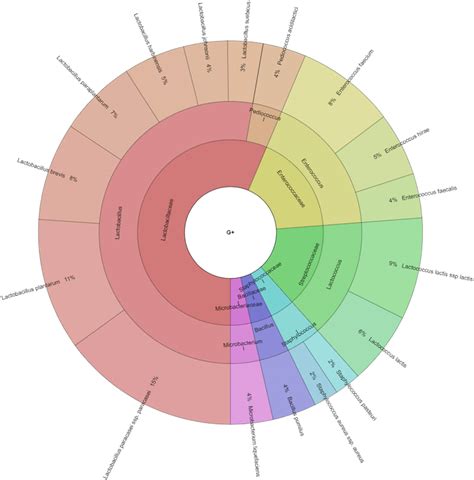 Diversity of microbiota in Slovak summer ewes’ cheese “Bryndza”