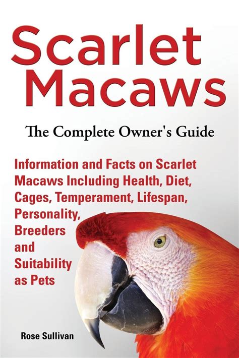 Scarlet Macaw Facts For Kids | Kids Matttroy