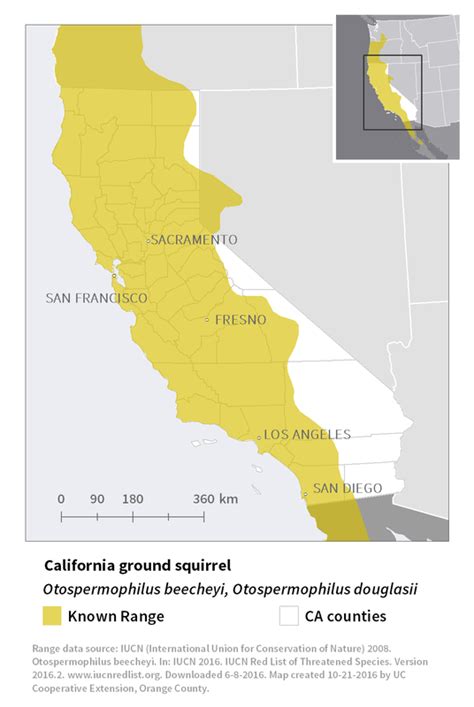 California Ground Squirrel Habitat : Figure 2 From Belding S California ...