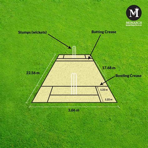 Cricket Game- Important Facts That You Should Know In 2020