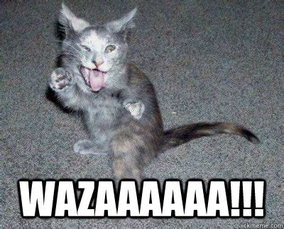 WAZAAAAAA!!! - WAZA CAT 2 - quickmeme