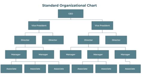 Organizational Chart For Small Business