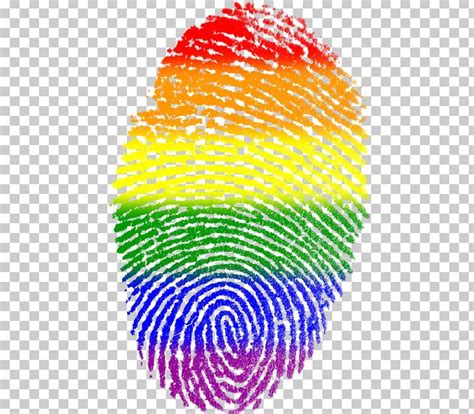 LGBT Symbols Gay Pride Rainbow Flag Pride Parade PNG, Clipart, Bisexual ...