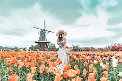 The Ultimate Guide to the Holland Tulip Festival in Michigan