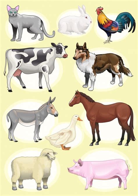 Premium Vector | Set realistic farm animals | Tipos de animales ...