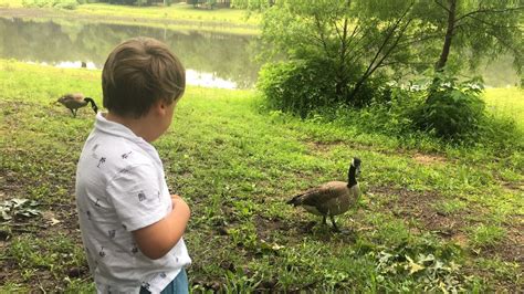 Memorial Day Camping - Tishomingo State Park — The Southern Glamper