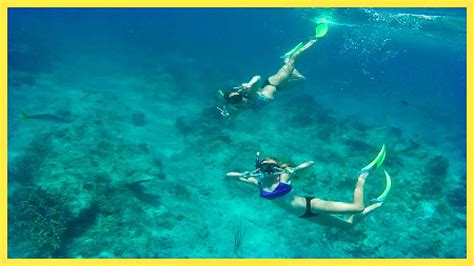 SNORKELING IN TURKS AND CAICOS - YouTube