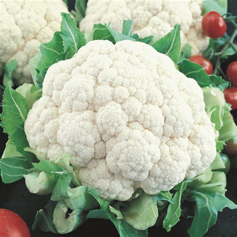 Cauliflower Seeds - 'Snowball Self Blanching'