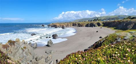 12 Best Beaches in Bodega Bay, CA | PlanetWare