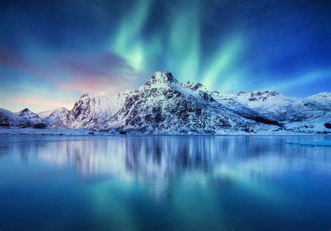 lofoten northern lights