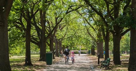 Parks and gardens | City of Boroondara