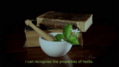 Properties of herbs in medieval medicine | Teaching Resources