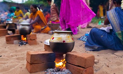 Pongal Festival , Tamil Nadu - Truly India Tours