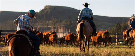 Lifestyle — Pursuit Properties — Big Land Ranch Co-Ownership