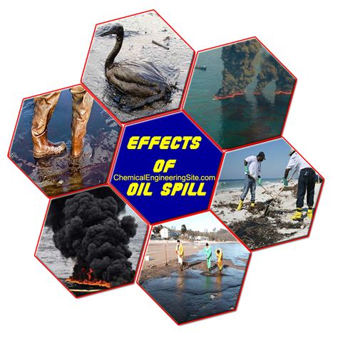 Oil Spill Effects and Cleanup Techniques - Chemical Engineering Site