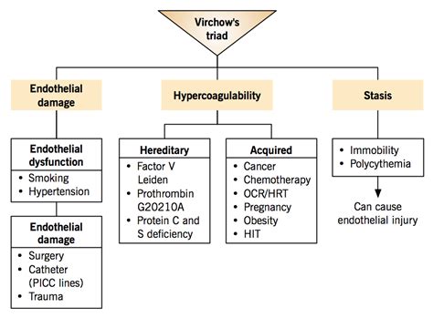 Etiology of venous thromboembolism – Virchow’s triad – McMaster ...