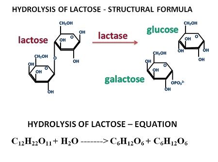 What is the structural formula and the equation for the hydrolysis of ...