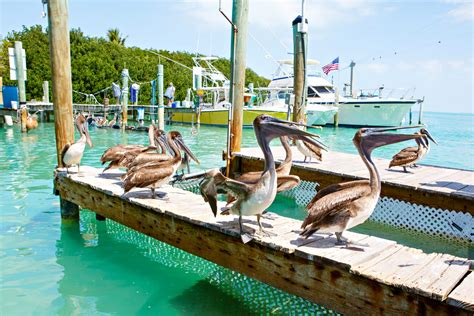 Family Friendly Guide to Key Largo, Florida - Eat, Pray, Love to Travel