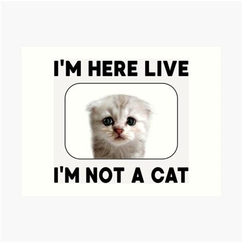 Cat Lawyer Meme Gifts & Merchandise | Redbubble