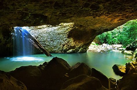 Springbrook & Tamborine Rainforest Tour - Nature | MyGui