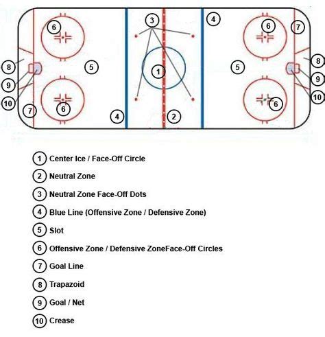 Basic Rules of NHL Hockey: A Visual Guide | Nhl hockey, Hockey rules ...