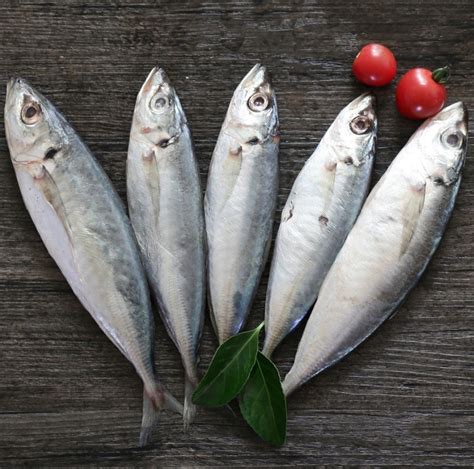 Frozen Scad Mackerel Frozen Round Scad Fish,China price supplier - 21food