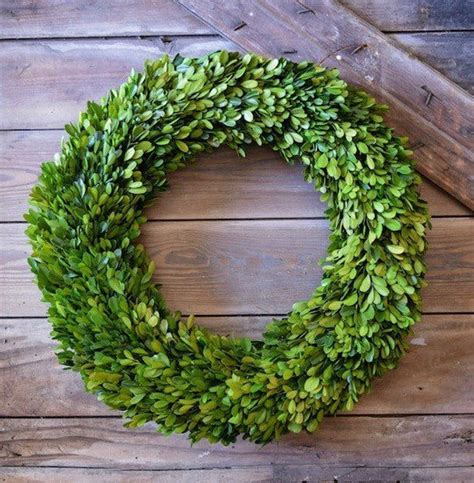 20” Preserved Boxwood Wreath | Decorating Ideas And Accessories For The ...