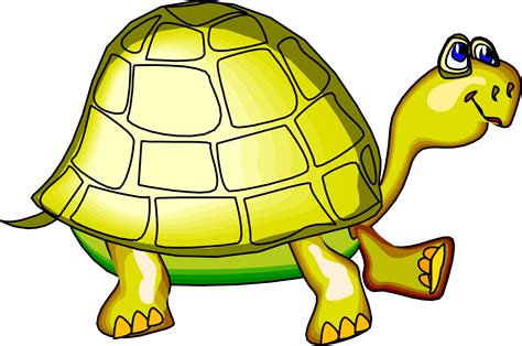 Cartoon Turtle Pics - ClipArt Best