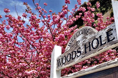 B&B Lodging in Woods Hole, MA | Coastal Vacations + Getaways at Woods ...