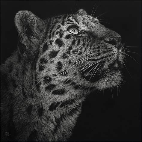 Photo-Realistic Wild Animal Scratchboard Art