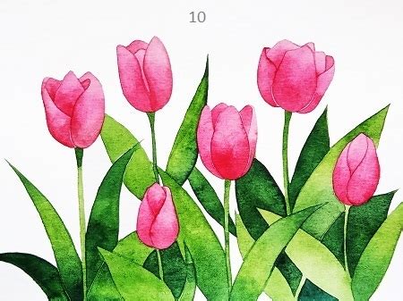 Bí quyết cách vẽ hoa tulip đơn giản cho người mới bắt đầu tập vẽ tranh hoa