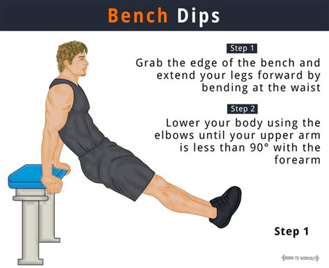 Seated Dips Benefits | Cabinets Matttroy