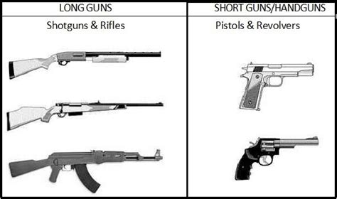 Types of Firearm & Firearms' Parts - Whole Earth Education