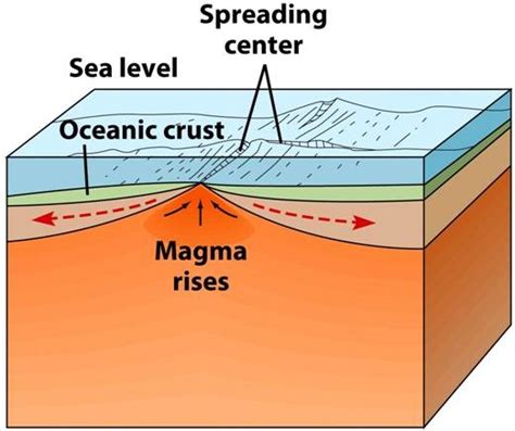 Plate Tectonics