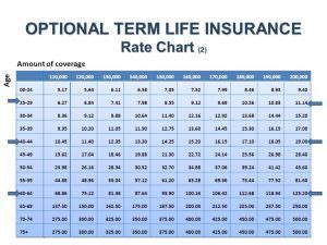 Term Life Insurance Prices > BURSAHAGA.COM