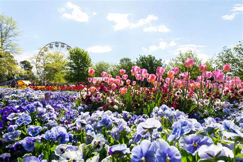 Life Outside | Floriade Canberra - Blooming Beautiful