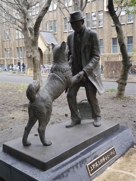 18 best Hachiko - The Dog Waited For His Master Forever images on ...