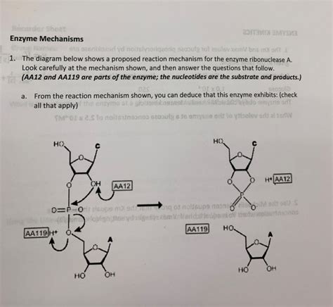 UNVEIL Enzyme Reaction Mechanism - VISUAL Diagram Insight