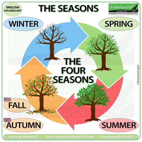 the four seasons poster with different trees