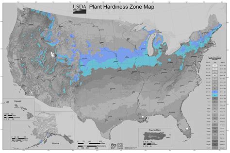 Winter Garden School Zone Map | Fasci Garden